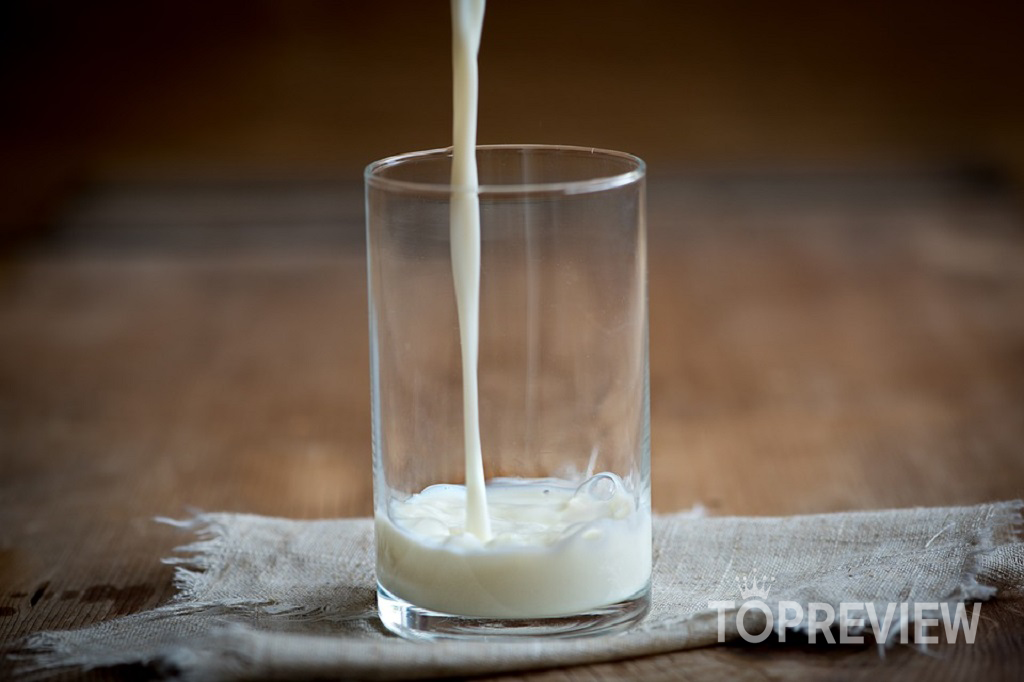 Trong sữa tươi có chứa protein giúp đốt cháy lượng mỡ thừa trong cơ thể.