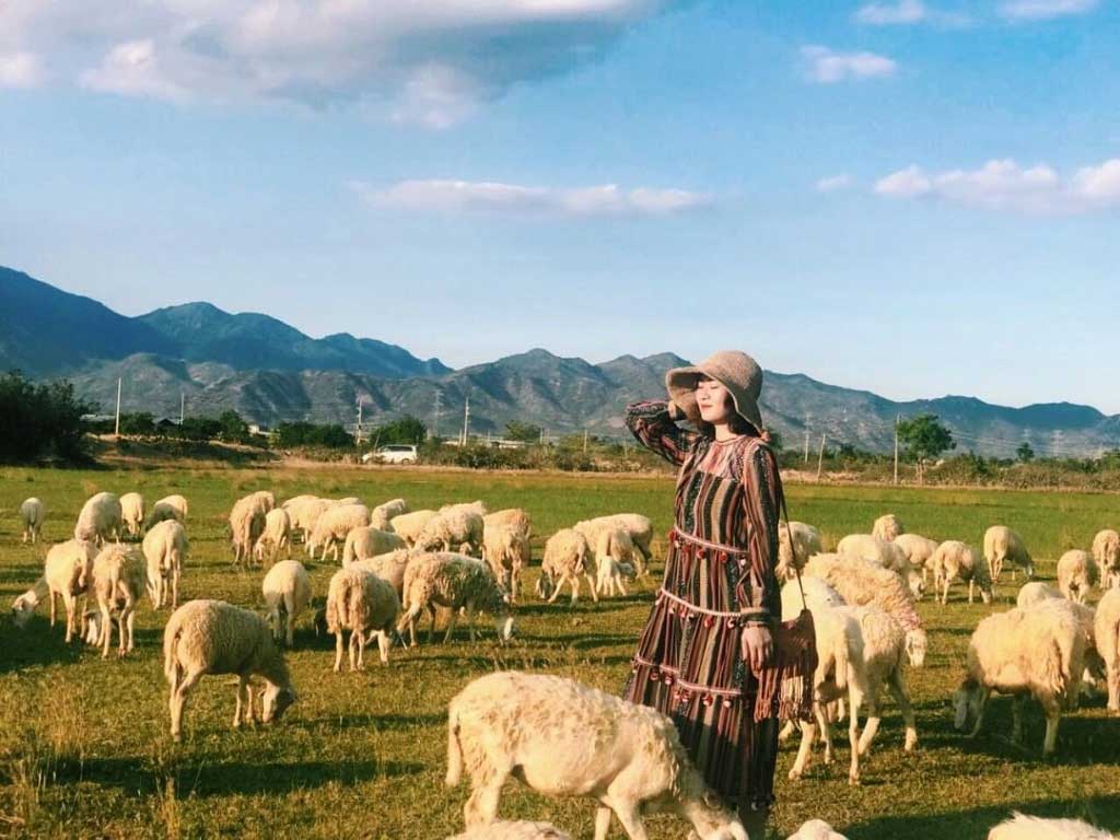 Đồi con Cừu Vũng Tàu