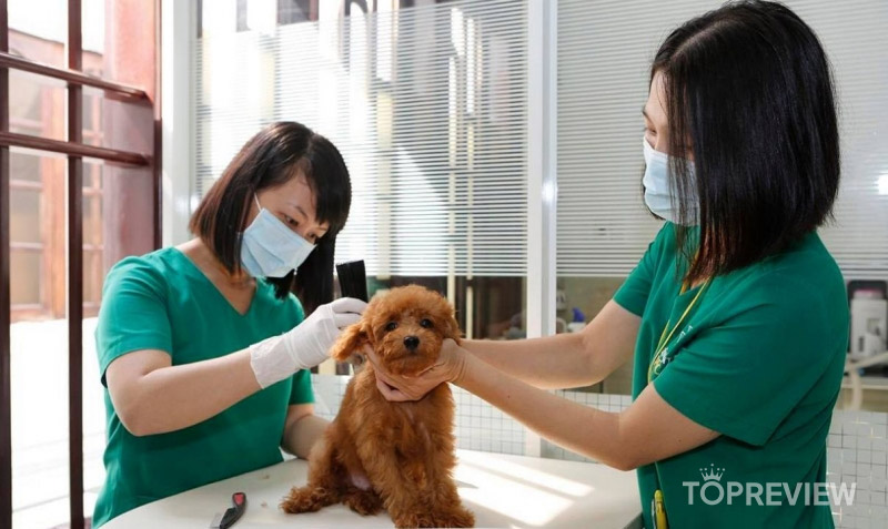 Happy-Pet-Care-dv-cham-soc-thu-cung-quận-5