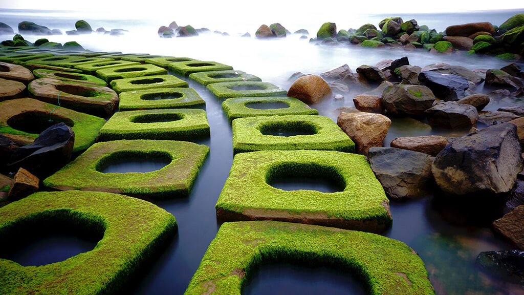  Những đoạn kè chống xói lở bờ biển bám đầy rêu xanh, tạo nên vẻ đẹp huyền bí