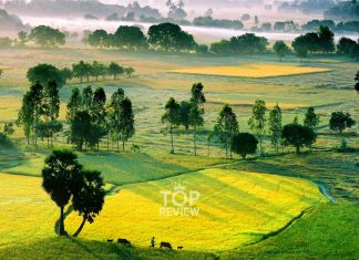 Top 5 địa điểm du lịch An Giang bạn nên biết