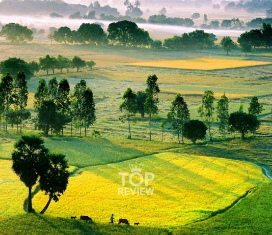 Top 5 địa điểm du lịch An Giang bạn nên biết