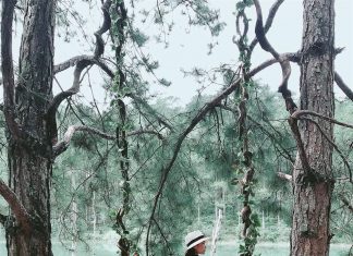 Top 5 điểm check-in nổi tiếng tại Đà Lạt