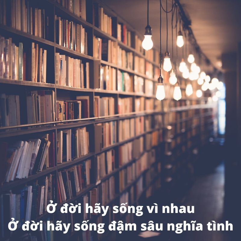 Những câu nói hay