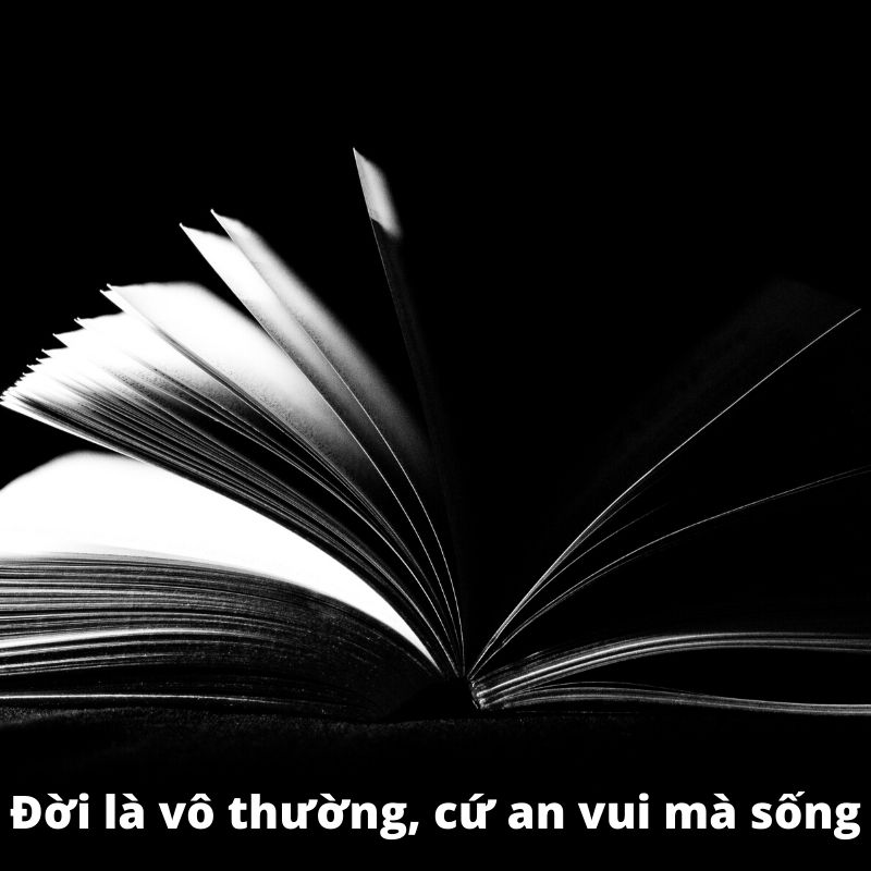 review sách Vô thường