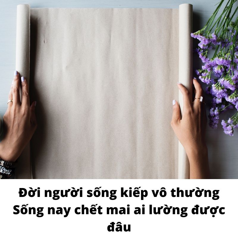Những câu nói hay