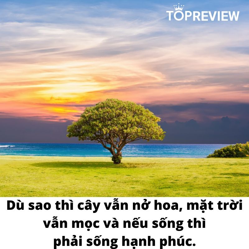 “Dù sao thì cây cũng nở hoa, mặt trời vẫn mọc và nếu sống thì phải sống hạnh phúc.” – trích Đừng tháo nụ cười xuống