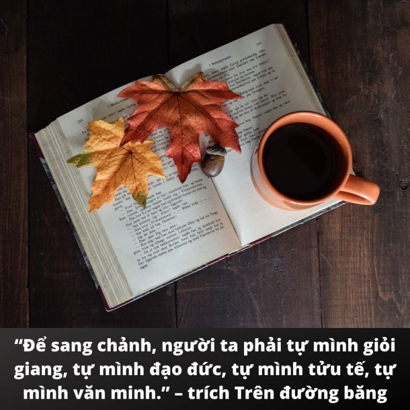 Những câu nói hay