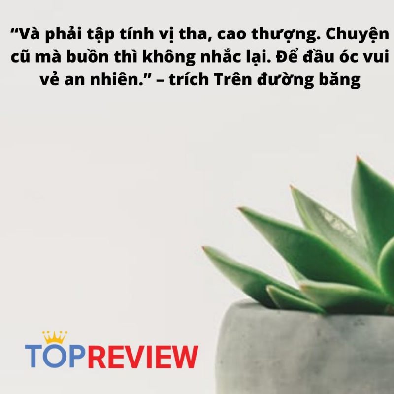 Những câu nói hay trong cuộc sống