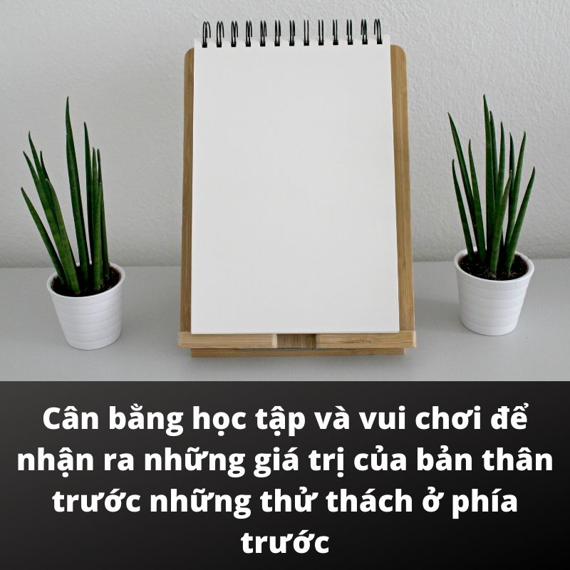 Ti6 tài giỏi, bạn cũng thế