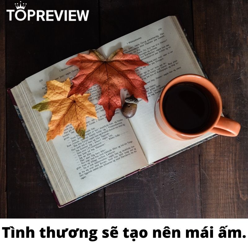 Kẻ trộm sách