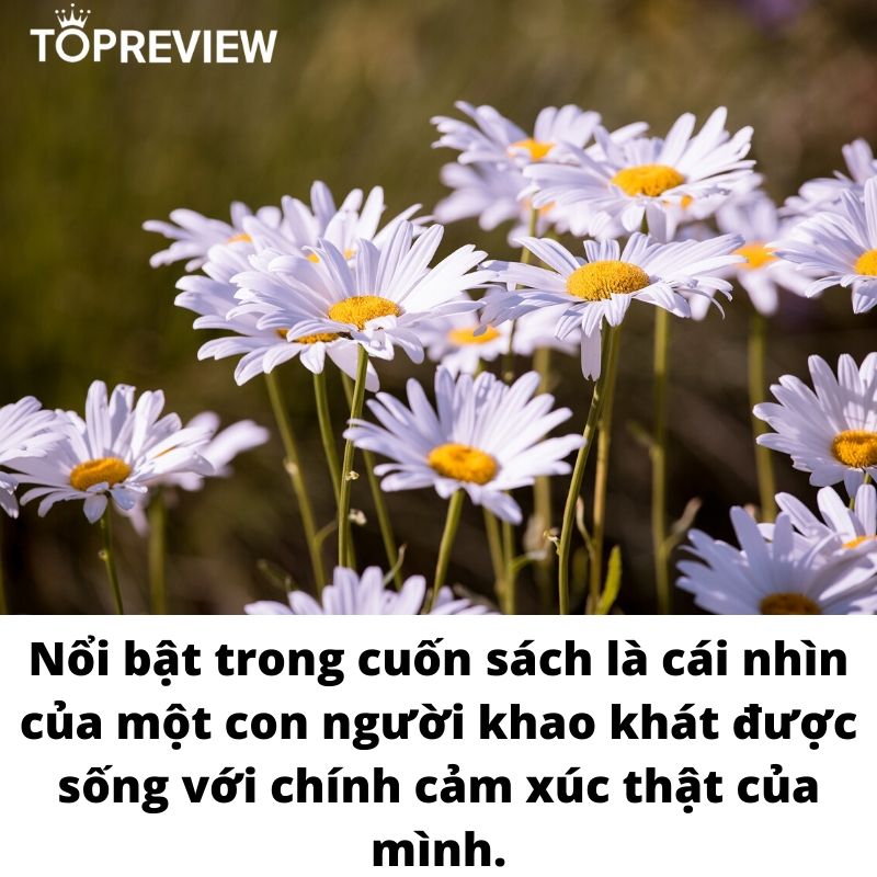 Nổi bật trong cuốn sách là cái nhìn của một con người khao khát được sống với chính cảm xúc thật của mình.- Người truyền ký ức