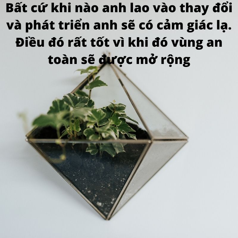 Nhà lãnh đạo không chức danh (4)