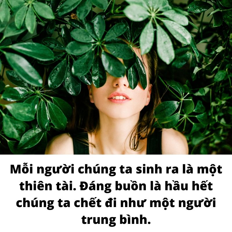 Nhà lãnh đạo và những chức danh