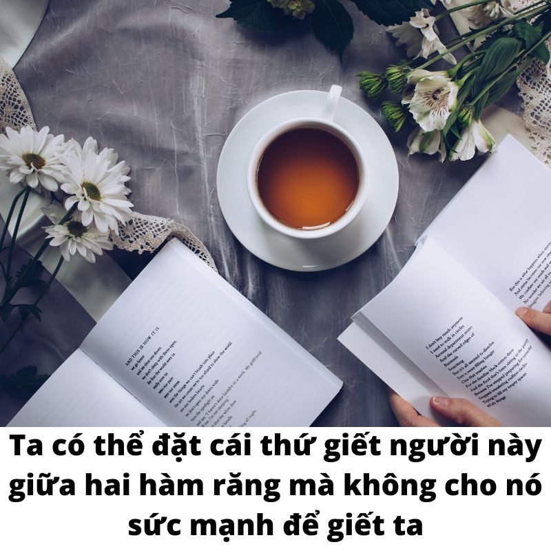 Khi lỗi thuộc về những vì sao