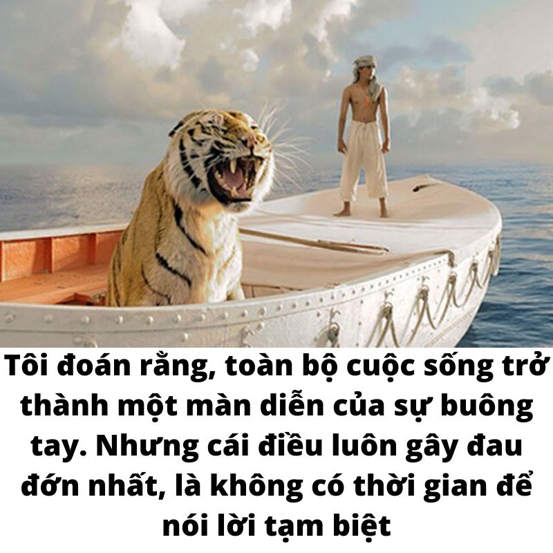 Cuộc đời của Pi