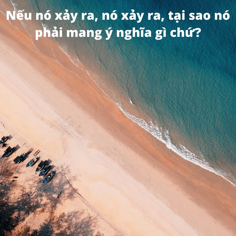 Cuộc đời của Pi