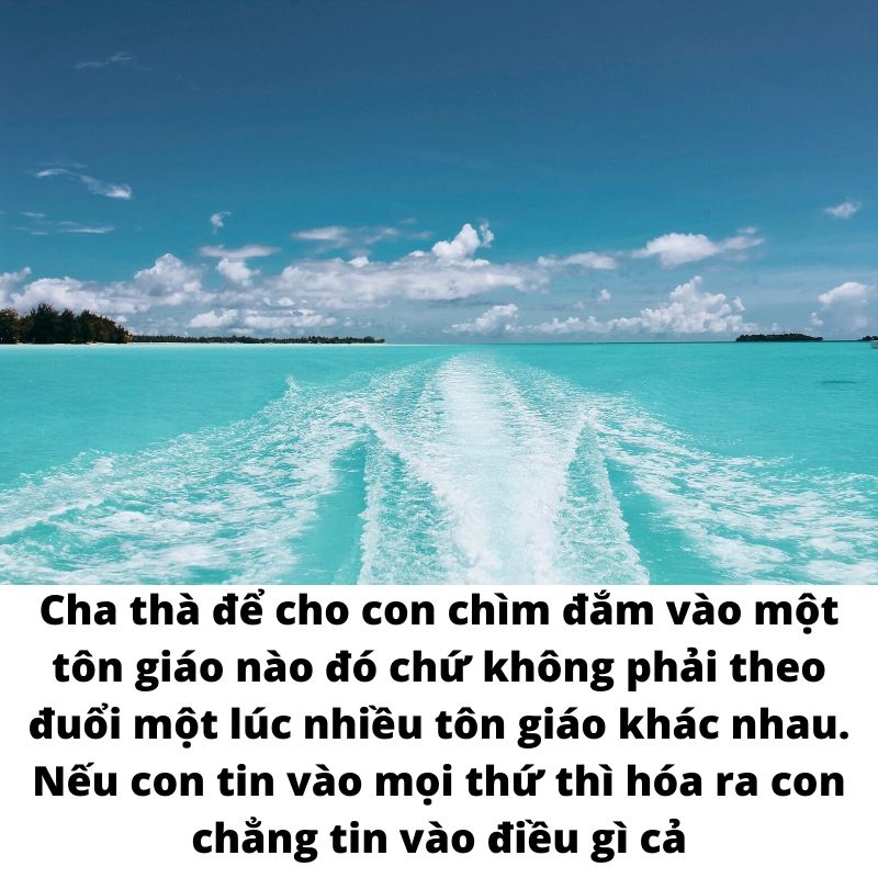 Cuộc đời của Pi