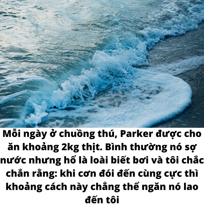 Cuộc đời của Pi
