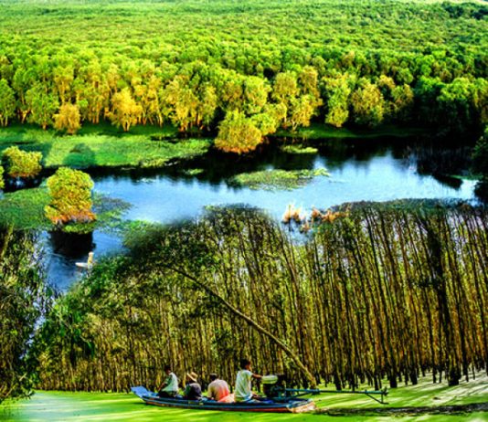 Top 5 địa điểm du lịch Đồng Tháp đẹp như mơ