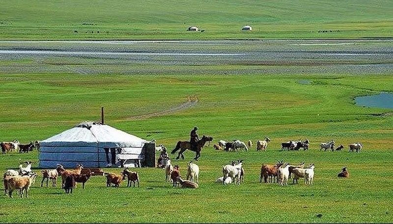 Người dân Mông Cổ vẫn sống theo hình thức du mục chủ yếu.