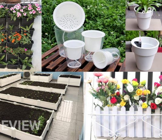 Chậu trồng cây thông minh