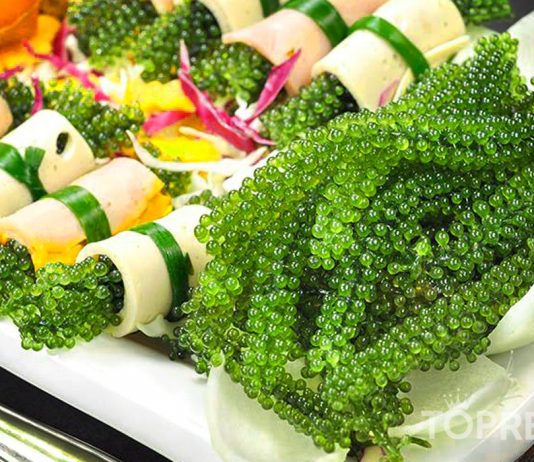 Review-rong-nho-bien-co-tot-voi-suc-khoe-con-nguoi-khong