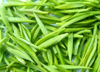 Review Trà Đinh Nõn Thái Nguyên thượng hạng tại Hải Trà Tân Cương Review Trà đinh nõn thái nguyên thượng hạng tại Hải Trà Tân Cương