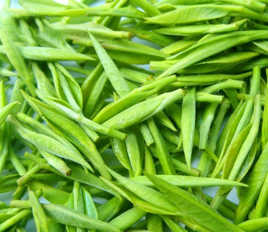 Review Trà Đinh Nõn Thái Nguyên thượng hạng tại Hải Trà Tân Cương Review Trà đinh nõn thái nguyên thượng hạng tại Hải Trà Tân Cương