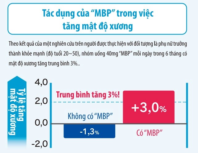 Hiệu quả của “MBP” cũng được chứng minh lâm sàng có tác dụng tăng mật độ xương