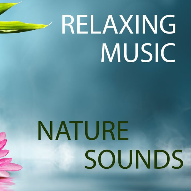 Nature Sounds mang đến sự yên bình khi làm việc