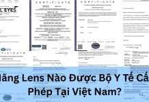 Hãng Lens Nào Được Bộ Y Tế Cấp Phép Tại Việt Nam? Hãng Lens Nào Được Bộ Y Tế Cấp Phép Tại Việt Nam?