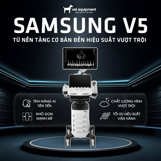 Samsung V5 